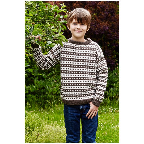 Ragnar Islandsk Brnesweater - strikkeopskrift